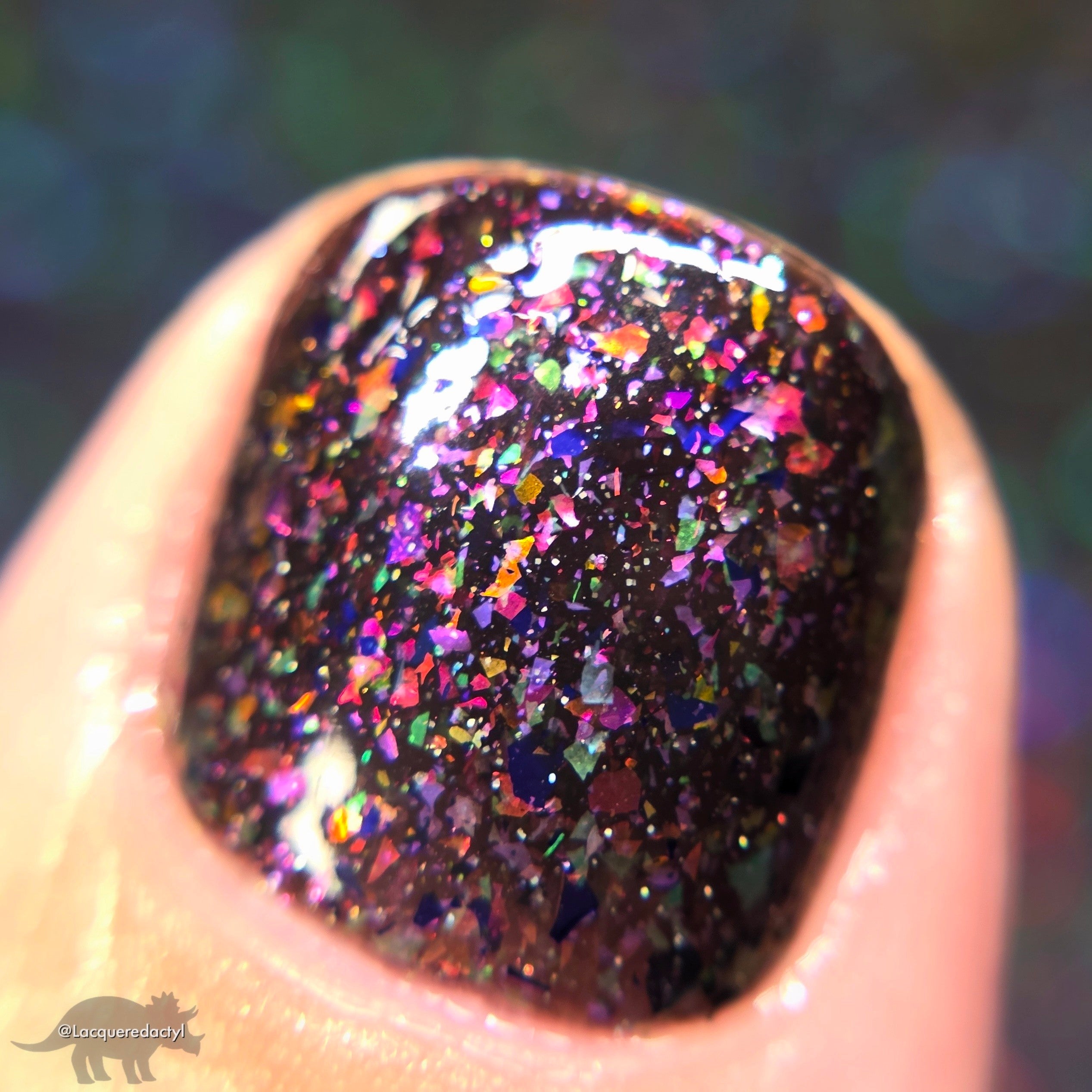 A Whole Different World