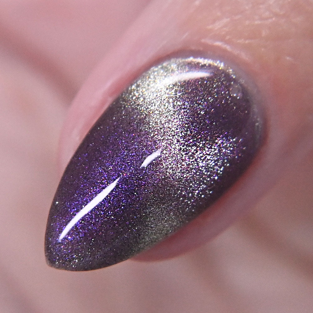 Full Moon Bloom - March Magnetic Of The Month