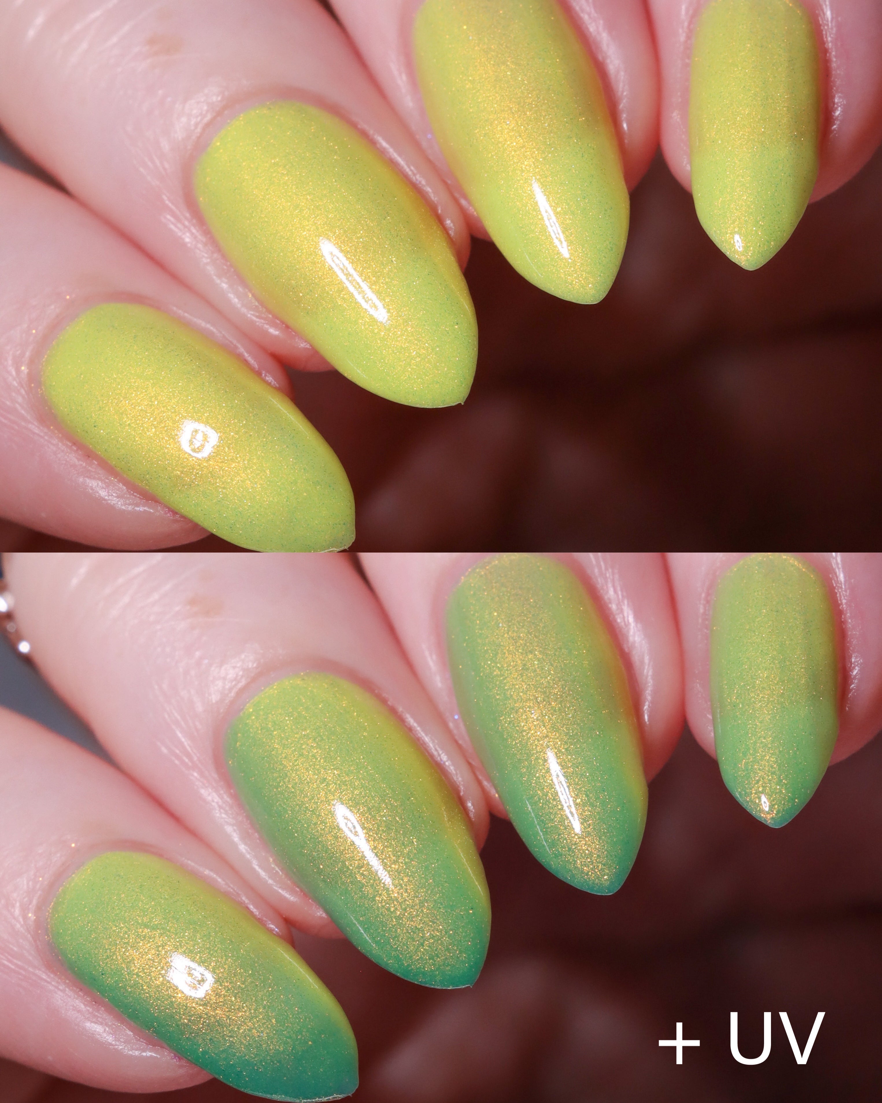 Funshine