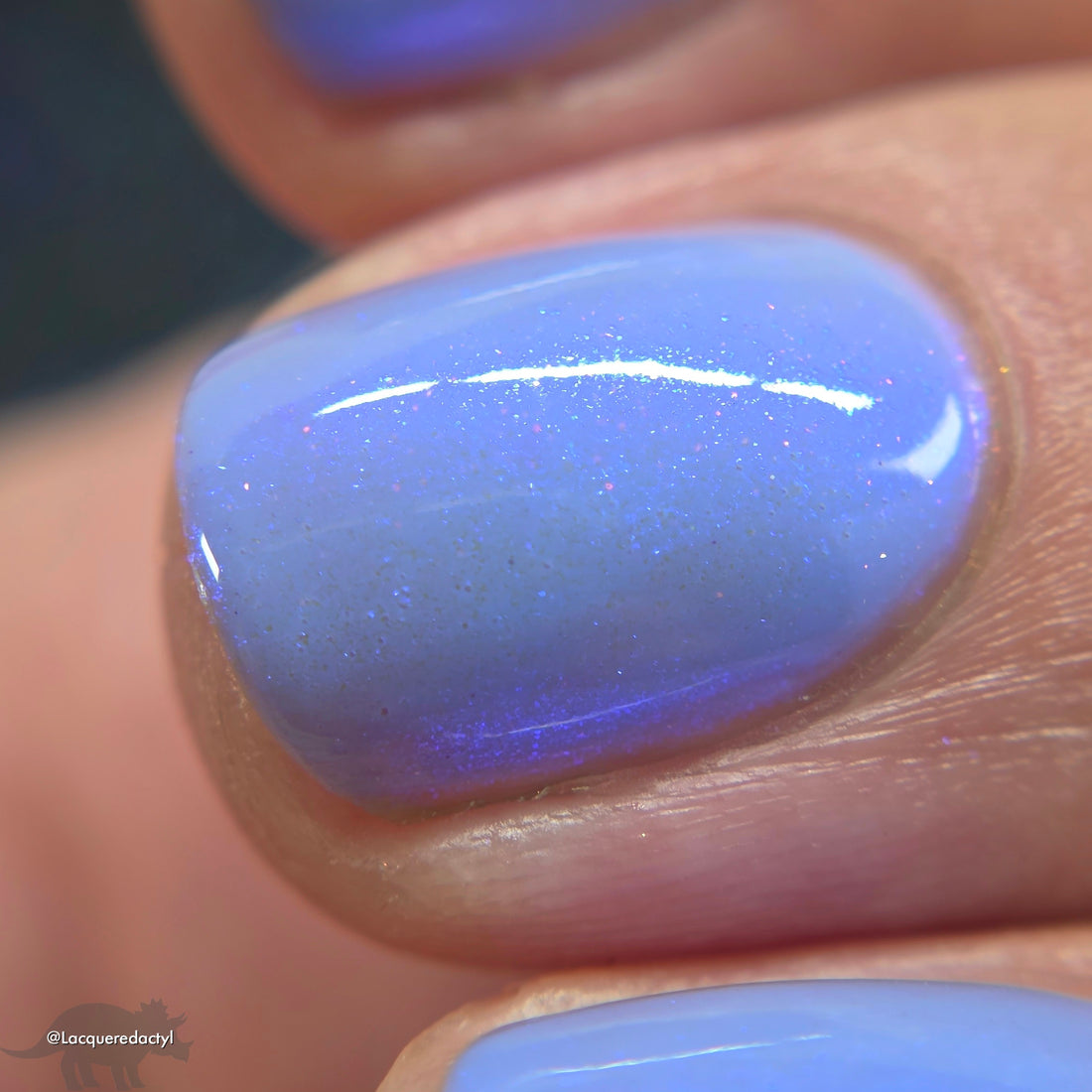 Arctic Blue