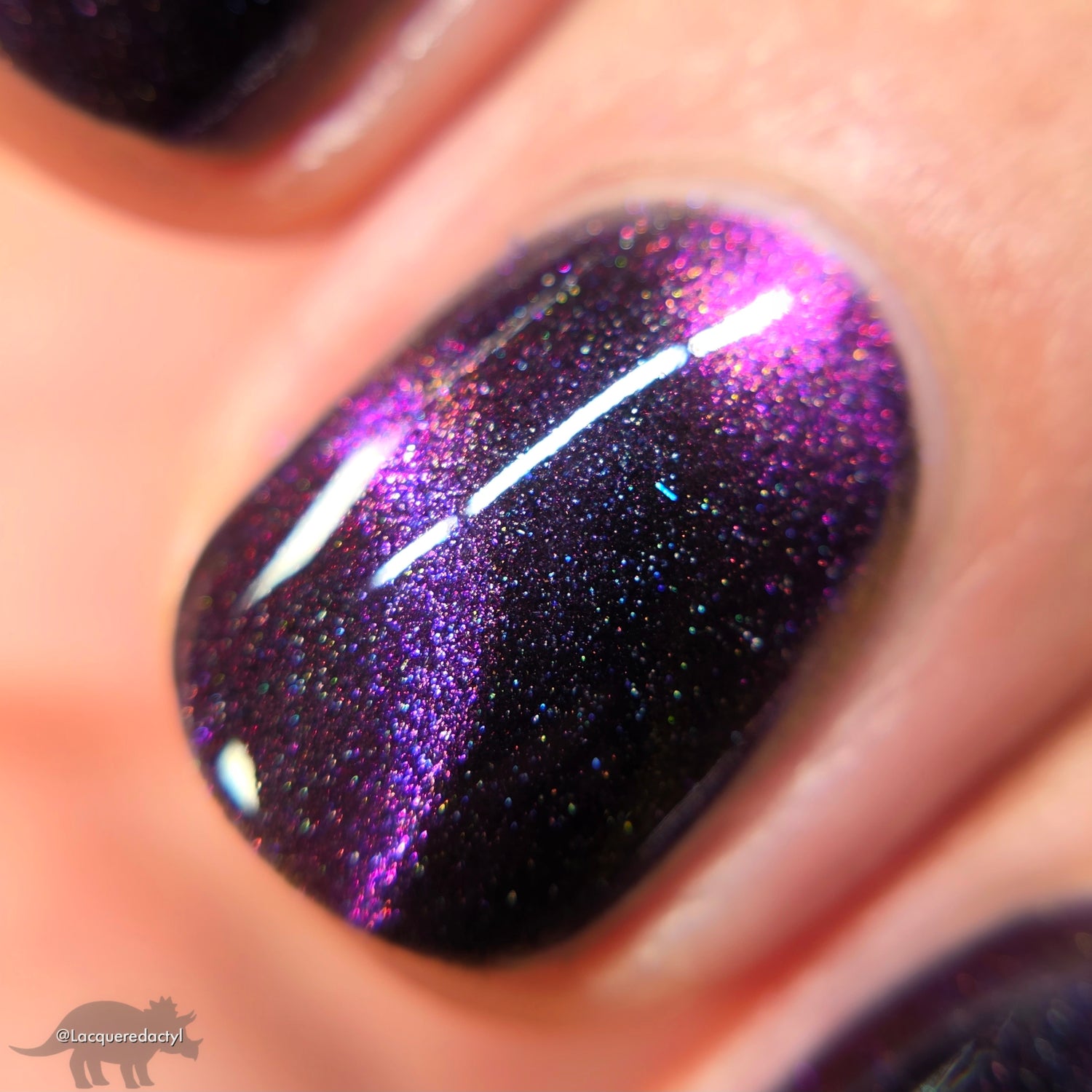 Stargazer