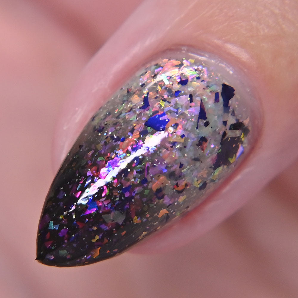 A Whole Different World