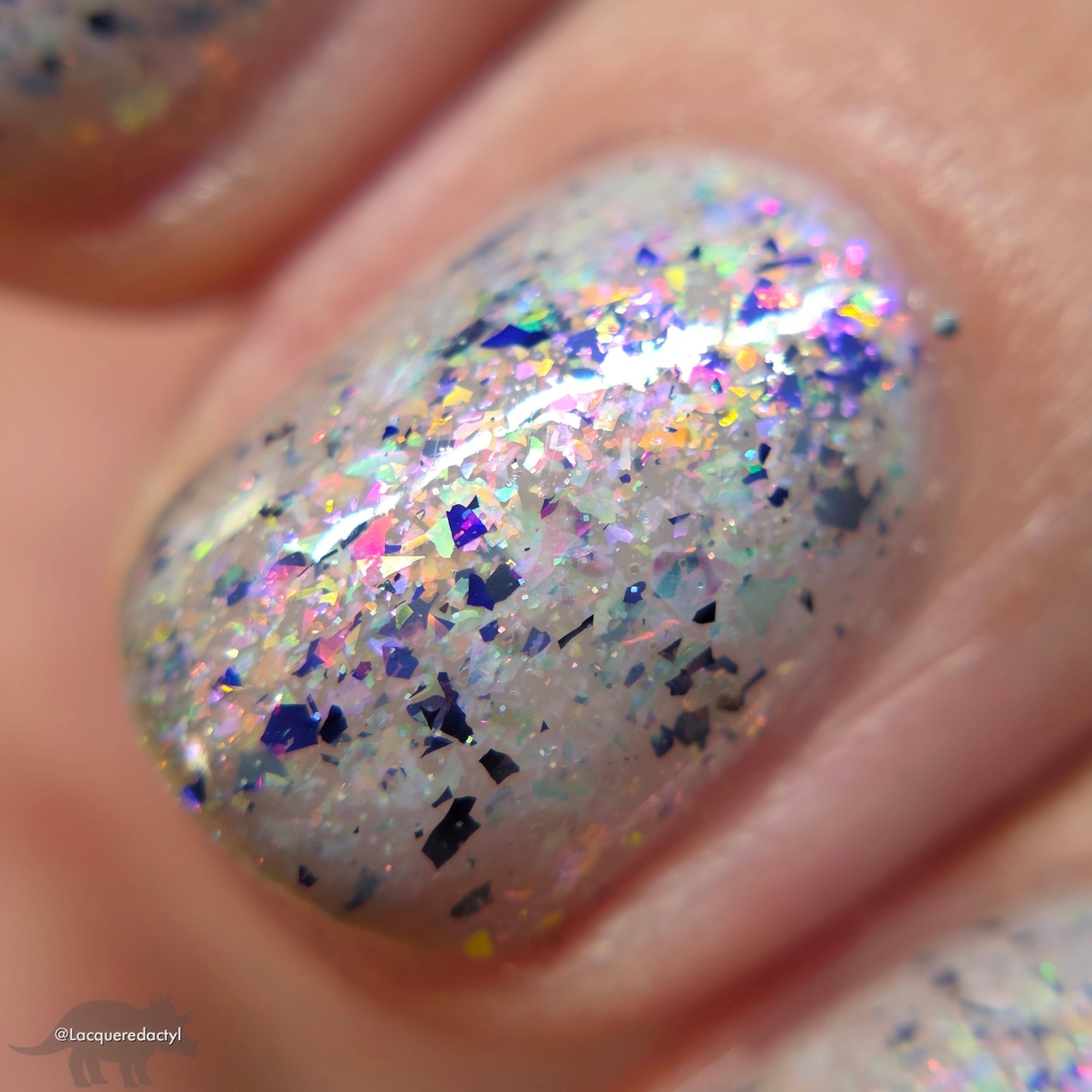 A Whole Different World