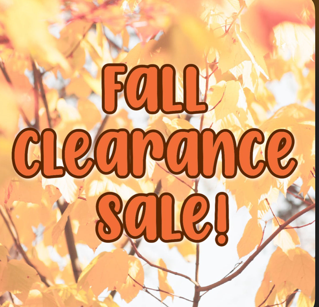 Clearance Mystery Bags