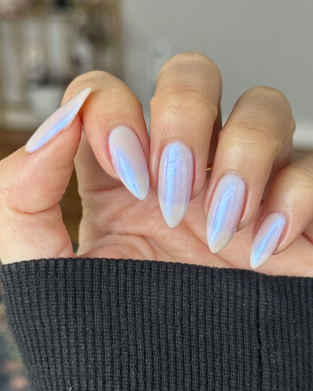 Seashells By The Seashore