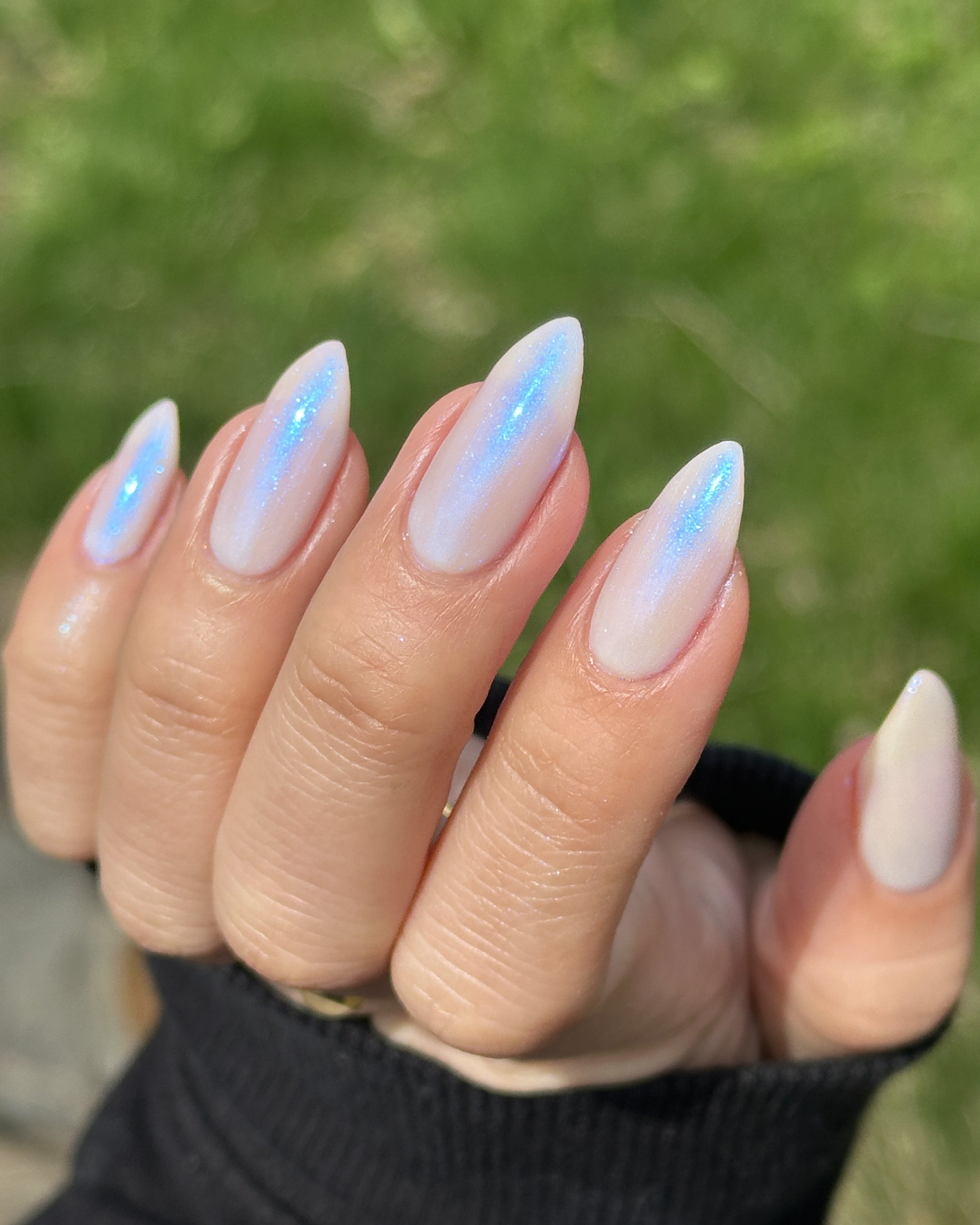 Seashells By The Seashore