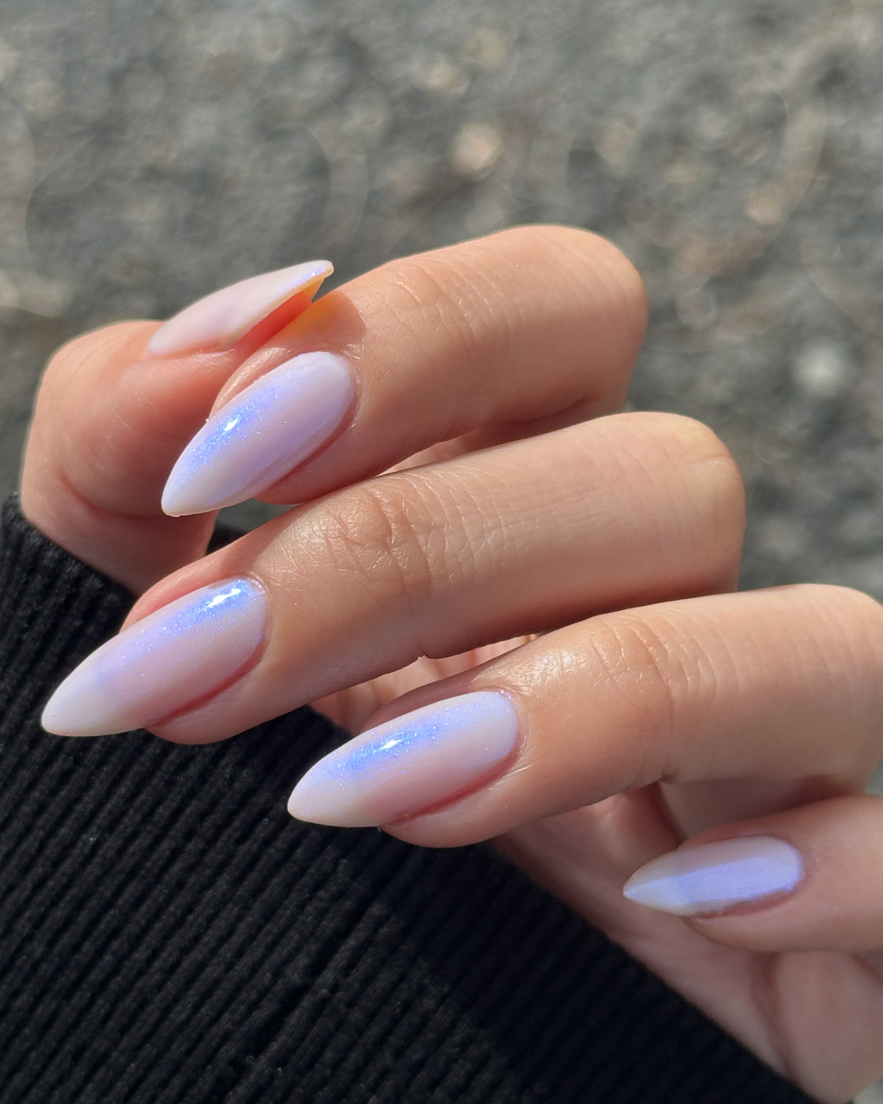 Seashells By The Seashore