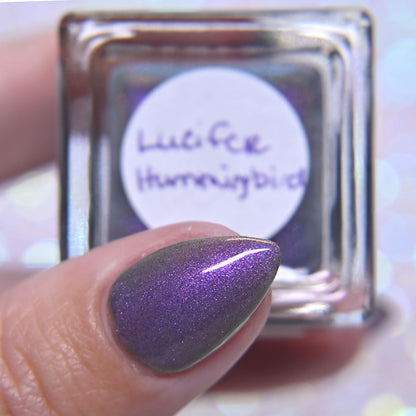 Lucifer Hummingbird