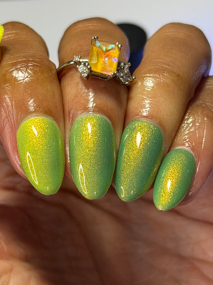 Funshine