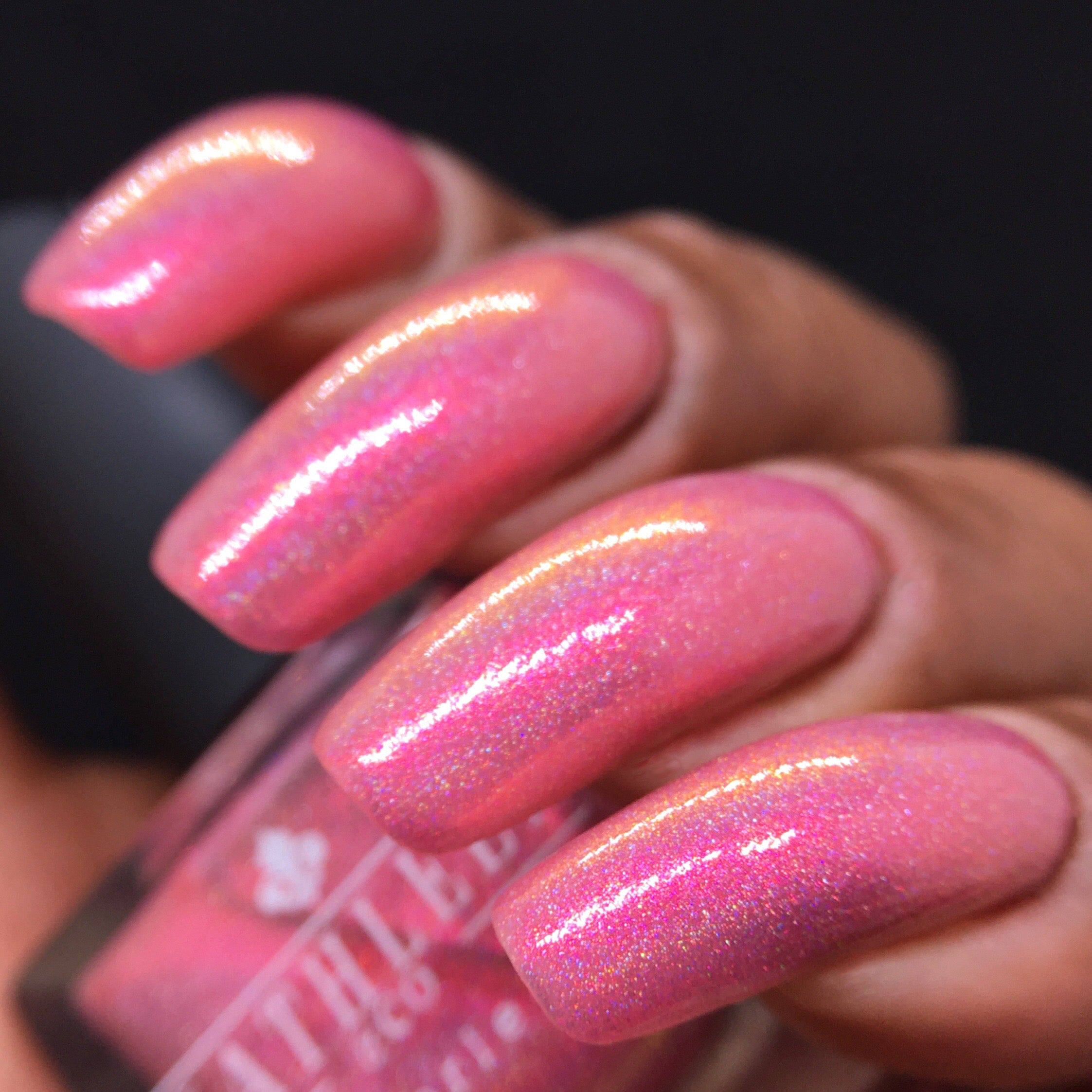 Queen Unicorn - Rainbow Unicorns