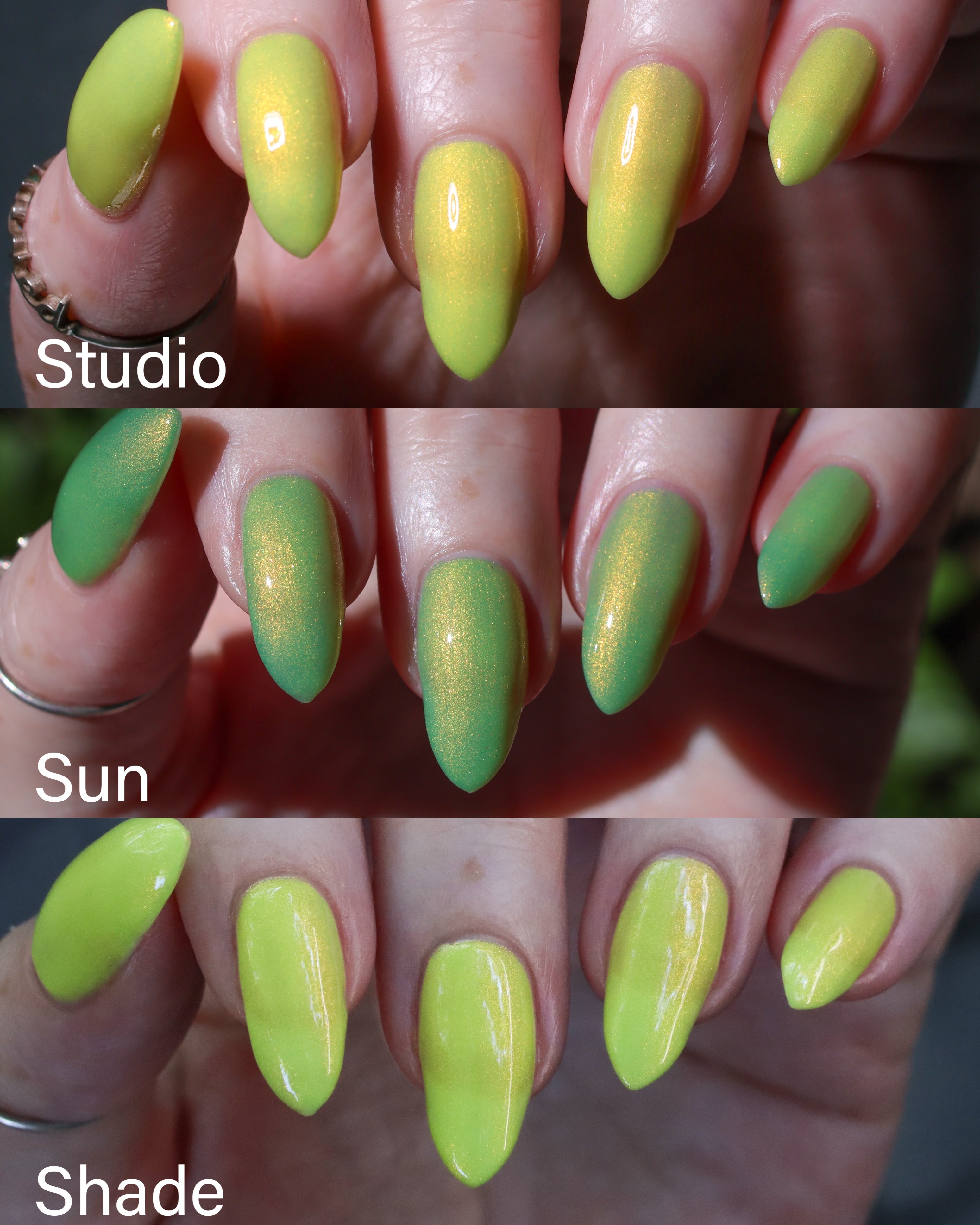 Funshine