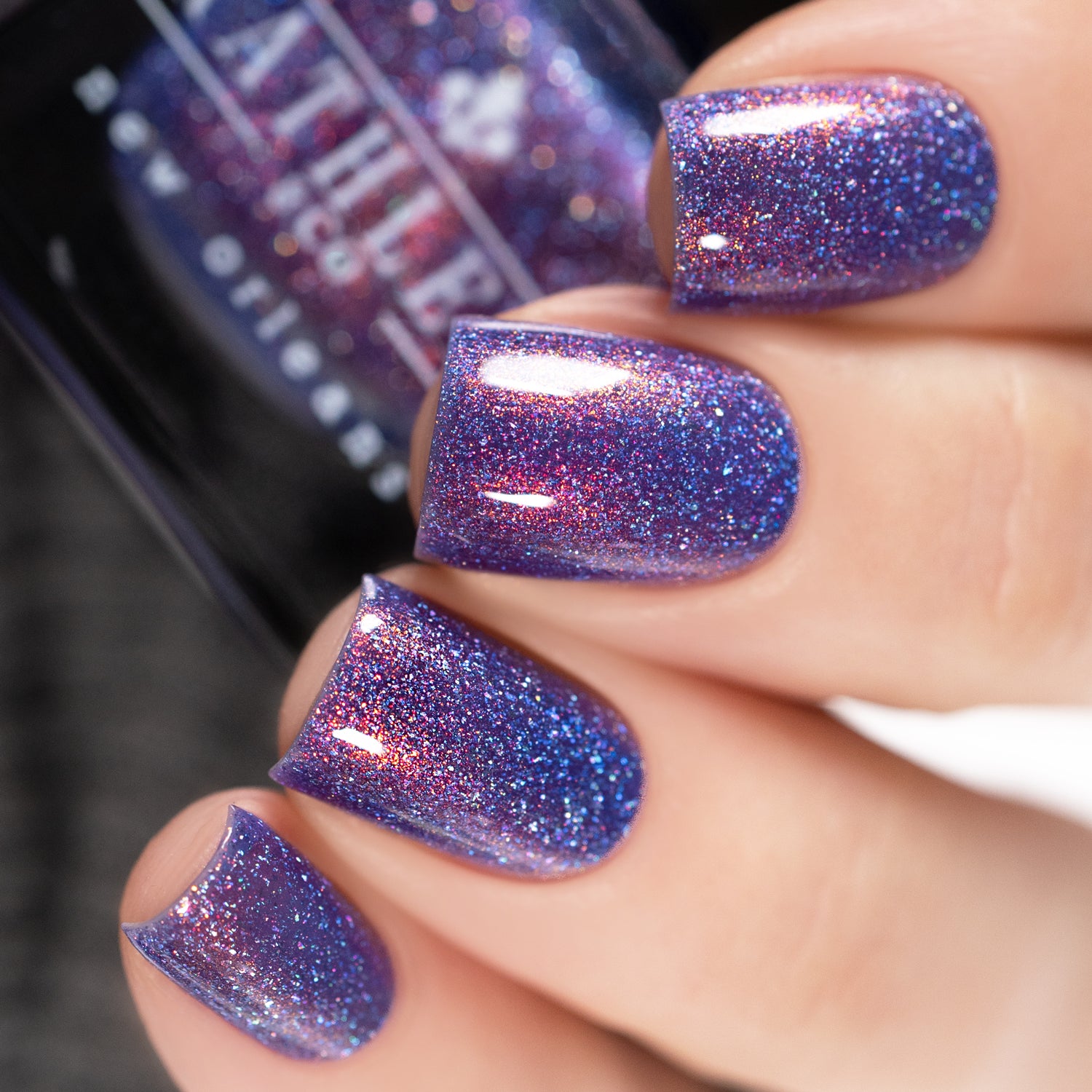 Warm And Cozy - Winter &