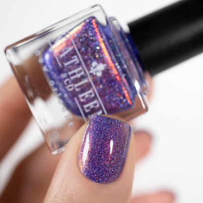 Warm And Cozy - Winter &